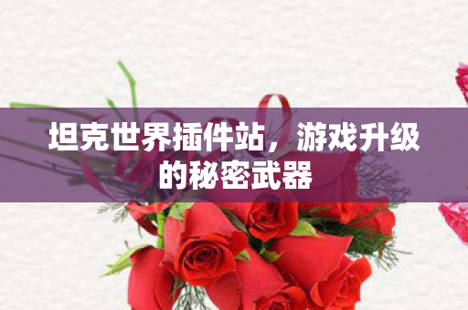 游戏升级的秘密武器图片
