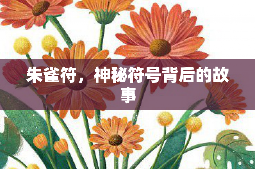 神秘符号背后的故事图片