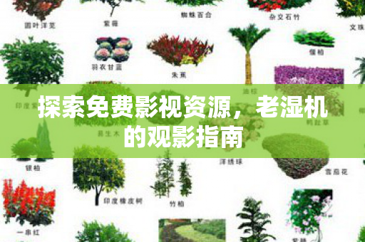 探索免费影视资源图片