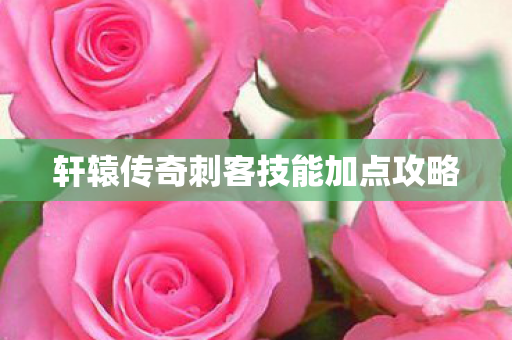 轩辕传奇刺客技能加点攻略图片