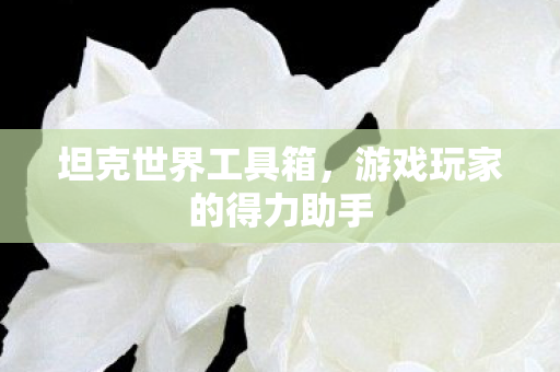 游戏玩家的得力助手图片