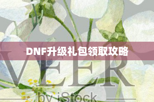DNF升级礼包领取攻略图片