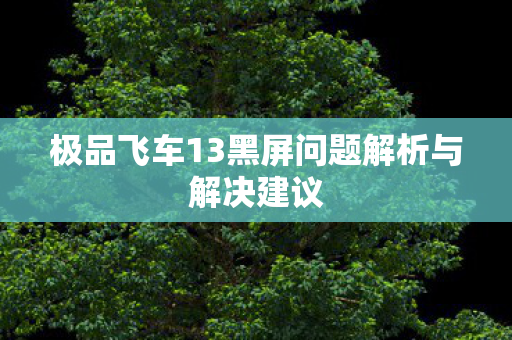 极品飞车13黑屏问题解析与解决建议图片