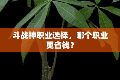 斗战神职业选择图片