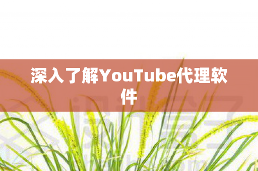 深入了解YouTube代理软件图片
