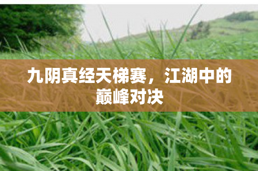 江湖中的巅峰对决图片