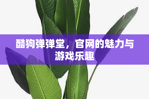 官网的魅力与游戏乐趣图片