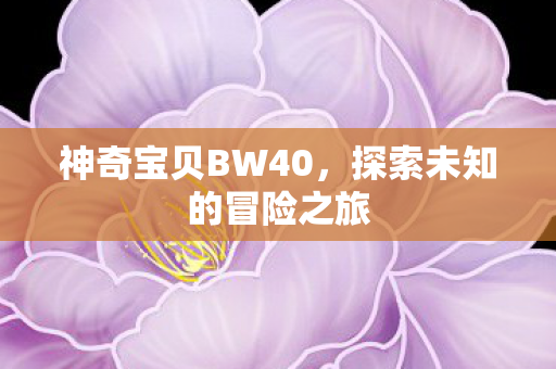 探索未知的冒险之旅图片