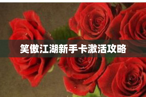 笑傲江湖新手卡激活攻略图片