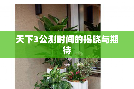 天下3公测时间的揭晓与期待图片