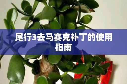 尾行3去马赛克补丁的使用指南图片