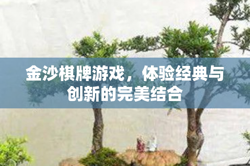 体验经典与创新的完美结合图片