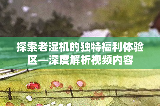 探索老湿机的独特福利体验区图片