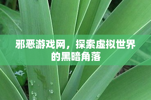 探索虚拟世界的黑暗角落图片