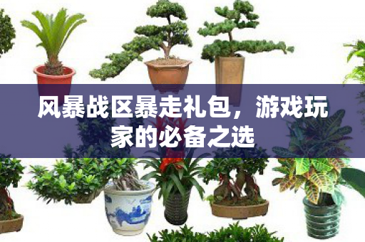 游戏玩家的必备之选图片