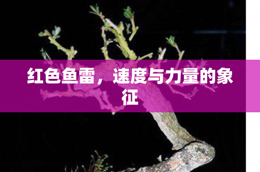 速度与力量的象征图片
