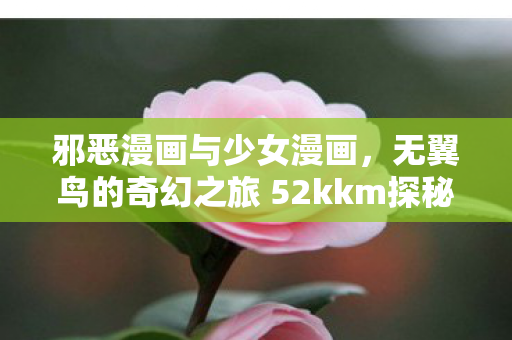 无翼鸟的奇幻之旅 52kkm探秘图片