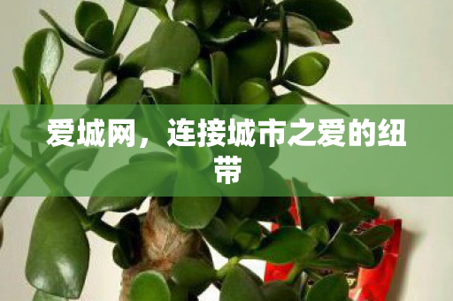 连接城市之爱的纽带图片