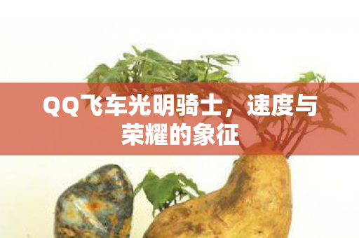QQ飞车光明骑士图片