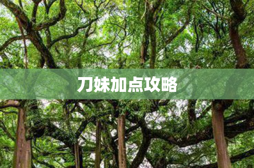 刀妹加点攻略图片