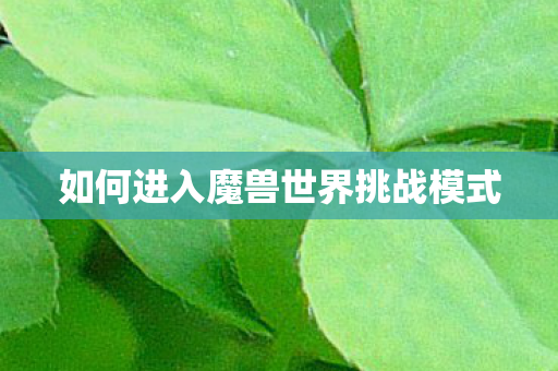 如何进入魔兽世界挑战模式图片