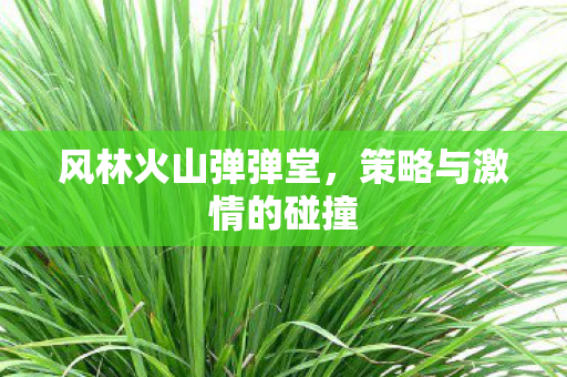 策略与激情的碰撞图片