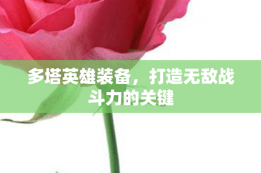 打造无敌战斗力的关键图片