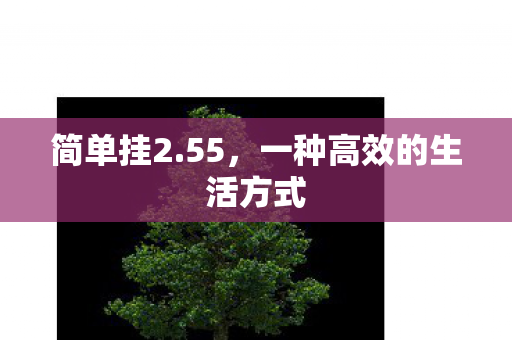 一种高效的生活方式图片