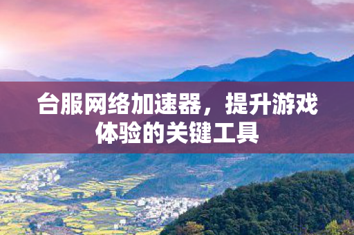 提升游戏体验的关键工具图片