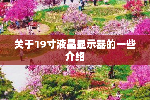关于19寸液晶显示器的一些介绍图片