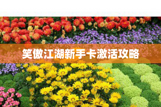 笑傲江湖新手卡激活攻略图片