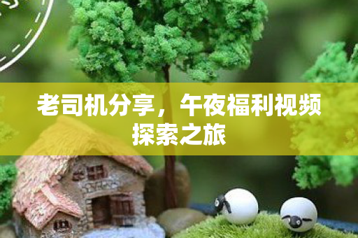 午夜福利视频探索之旅图片
