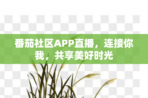 番茄社区APP直播图片