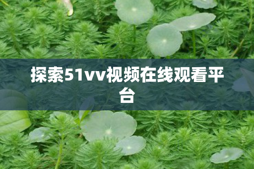 探索51vv视频在线观看平台图片