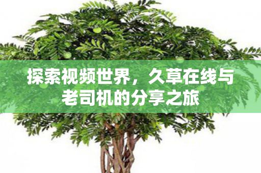 久草在线与老司机的分享之旅图片