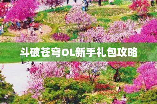 斗破苍穹OL新手礼包攻略图片