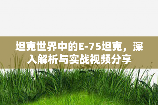 深入解析与实战视频分享图片