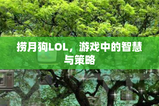 游戏中的智慧与策略图片