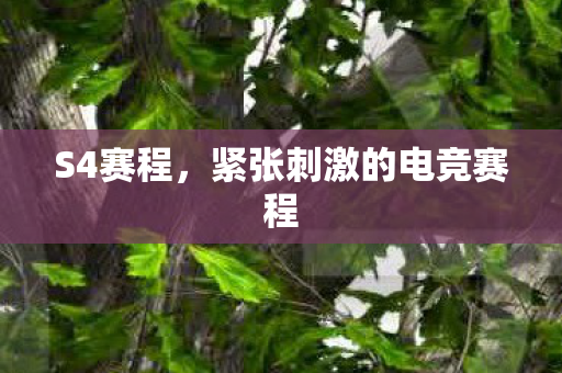 紧张刺激的电竞赛程图片