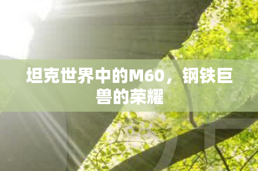 坦克世界中的M60图片