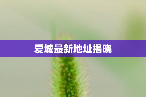 爱城最新地址揭晓图片
