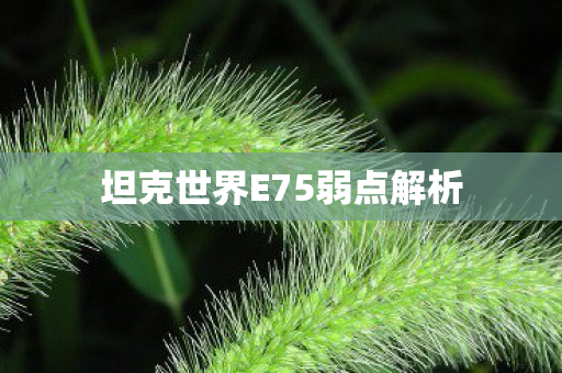 坦克世界E75弱点解析图片