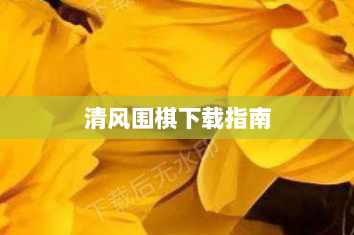 清风围棋下载指南图片