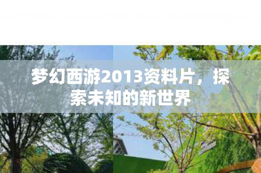 梦幻西游2013资料片图片