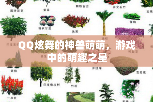 QQ炫舞的神兽萌萌图片