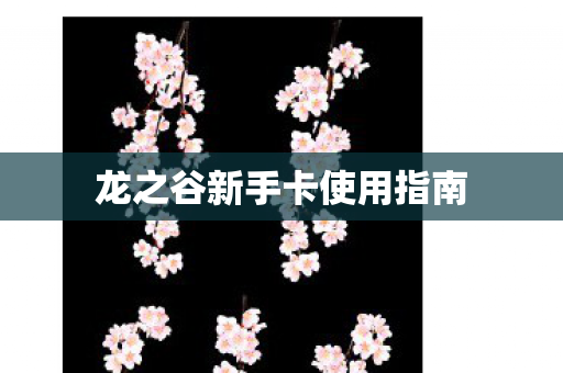龙之谷新手卡使用指南图片