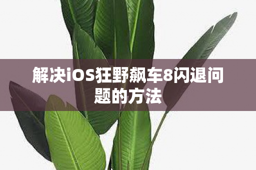 解决iOS狂野飙车8闪退问题的方法图片
