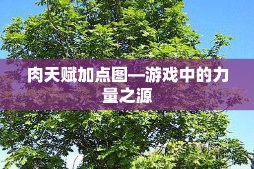 游戏中的力量之源图片