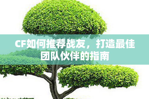 打造最佳团队伙伴的指南图片
