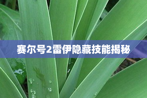 赛尔号2雷伊隐藏技能揭秘图片